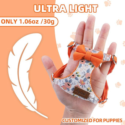 PUPTECK Dog Harness and Leash Set Small Sized, Step-in Cute Puppy Harness, Soft Lightweight Padded Vest, Escape Proof No Pull Pet Harnesses Easy for Walking, Flower Orange, XXS