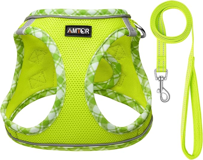AMTOR Small Dog Harness with Leash Set, No Escape Easy Walk Puppy Harnesses for Training Walking, Step-in Reflective Soft Dogs Vest for XS S Medium Extra-Small Large Sized Dog(XL Size,Green/White)