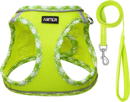 AMTOR Small Dog Harness with Leash Set, No Escape Easy Walk Puppy Harnesses for Training Walking, Step-in Reflective Soft Dogs Vest for XS S Medium Extra-Small Large Sized Dog(XL Size,Green/White)