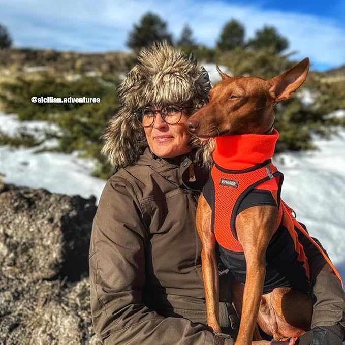 Voyager Step-in Air All Weather Mesh Harness and Reflective Dog 5 ft Leash Combo with Neoprene Handle, for Small, Medium and Large Breed Puppies by Best Pet Supplies - Orange/Black Trim, Medium