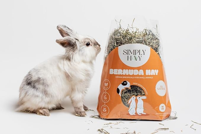 SimplyHay Bermuda Hay – High-Fiber, Low-Calcium Coastal Grass for Rabbits, Guinea Pigs & Small Pets – All-Natural, Hand-Packed, Timothy-Allergy Friendly (24 oz)