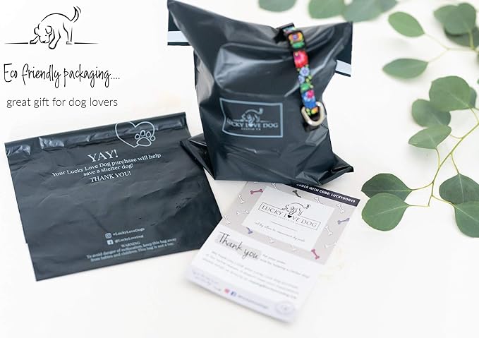 Lucky Love Dog - Easy Click Buckle Dog Collar with Leash Set Combo, Durable & Comfortable for Male & Female Dogs, Pet Collar for Small to Large Dogs, Secure Fit - Ladybird Combo, XS