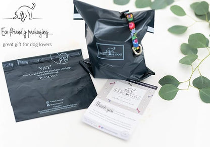 Lucky Love Dog - Easy Click Buckle Dog Collar with Leash Set Combo, Durable & Comfortable for Male & Female Dogs, Pet Collar for Small to Large Dogs, Secure Fit - Ladybird Combo, Small