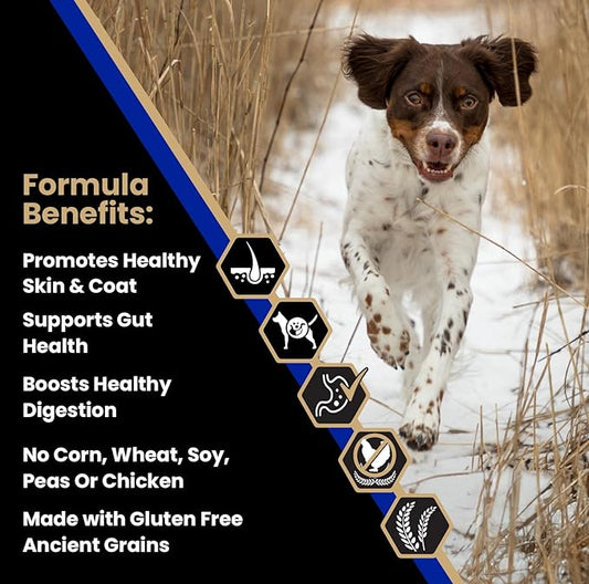 VICTOR Super Premium Dog Food — Sensitive Skin and Stomach — Beef Meal & Brown Rice Recipe Dry Kibble — Gluten Free, No Chicken, Ideal for Dogs with Allergies — Adult and Puppy Food, 30 lb