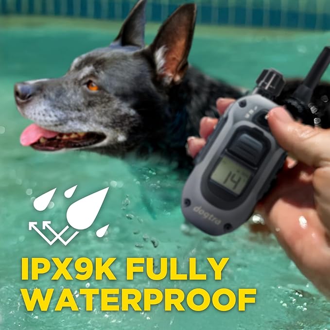 Dogtra 280X E-Collar with Remote [New Edition] 10 lbs+, 1/2 Mile Range, LED Light, 100 Levels of Precise Control for Stubborn Dogs, Waterproof, Boost for Quick Recall, Vibration, Safety Lock & Tone