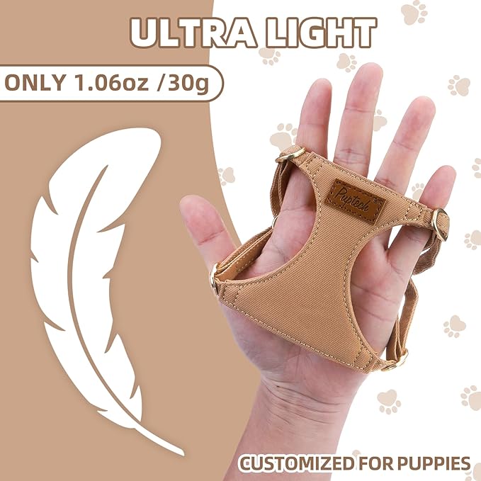 PUPTECK Dog Harness and Leash Set Small Sized, Step-in Cute Puppy Harness, Soft Lightweight Padded Vest, Escape Proof No Pull Pet Harnesses Easy for Walking, Khaki, XXS