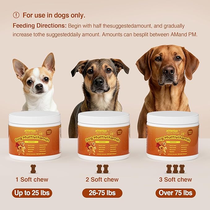 Multivitamin for Dogs - All-in-One Daily Supplement | Supports Joint, Heart, Skin, Digestion, Immune System & Liver Health (120 Chews Chicken)