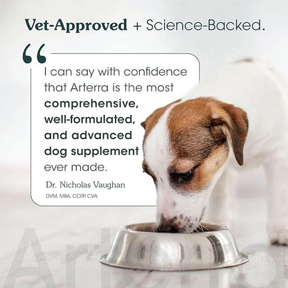 Adult Dog Powder Supplement & Food Topper – 46 Ingredients for Gut, Immune & Brain Health – Daily Longevity Multivitamin for Whole Body Wellness | 60 Scoops