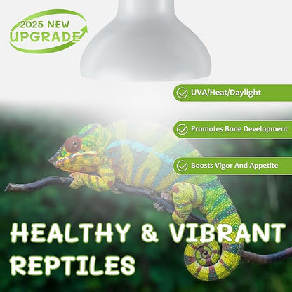 REPTI HOME Reptile Heat Lamp Bulbs, Simulate Natural Sunlight Heat Light Bulb, 2 Pack 100W Amphibian Terrarium Basking Spot Lamp for Reptile, Bearded Dragon, Lizard, Turtle, Snake