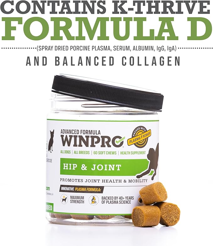 WINPRO Hip & Joint Supplement for Dogs - Plasma Powered Chews for Joint Health & Mobility – Fast-Acting with Collagen & Natural Ingredients for Dogs of All Breeds – 60 Chews – Made in USA