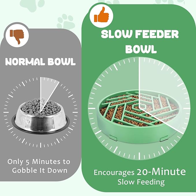 WHIPPY Slow Feeder Dog Bowl, Puzzle Maze Design to Slow Down Eating, 3-Cup Capacity, Anti-Gulping Food Bowl for Medium & Large Dogs,Mint Green