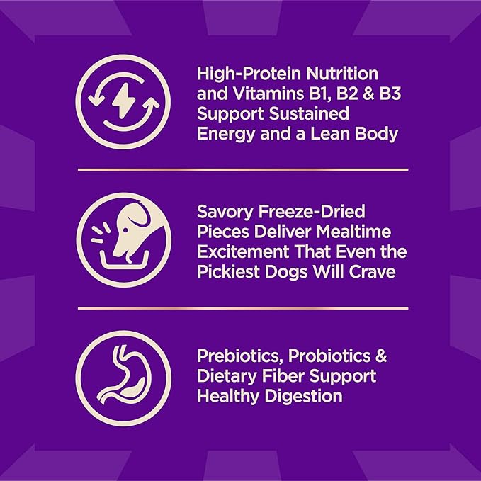 Wellness CORE+ Dry Dog Food with Freeze Dried Pieces, Wholesome Grains, High Protein, Natural, Beef & Barley Recipe, (18-Pound Bag)