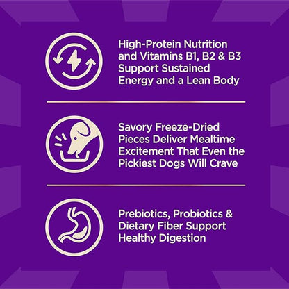 Wellness CORE+ Dry Dog Food with Freeze Dried Pieces, Wholesome Grains, High Protein, Natural, Beef & Barley Recipe, (18-Pound Bag)