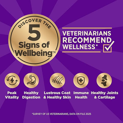 Wellness CORE+ Sensitive Skin & Stomach Dry Dog Food with Freeze Dried Pieces, Wholesome Grains, High Protein, Natural, Salmon & Rice Recipe, (18-Pound Bag)