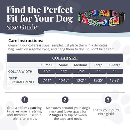 Lucky Love Dog - Easy Click Buckle Dog Collar with Leash Set Combo, Durable & Comfortable for Male & Female Dogs, Pet Collar for Small to Large Dogs, Secure Fit - Hana Combo, XS