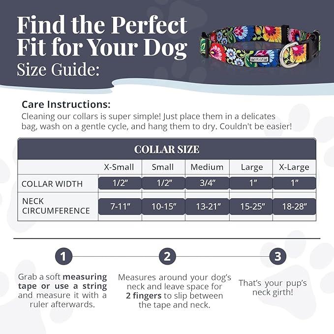 Lucky Love Dog - Easy Click Buckle Dog Collar with Leash Set Combo, Durable & Comfortable for Male & Female Dogs, Pet Collar for Small to Large Dogs, Secure Fit - Hana Combo, Medium