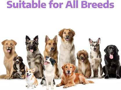 Fish Oil for Dogs, Vet-Formulated, US-Formulas Oral Natural Omega 3 & 6 Treatment Supplements – EPA & DHA Fatty Acids for Itchy Skin, Shedding & Allergy Relief – 180 Chicken Soft Chews