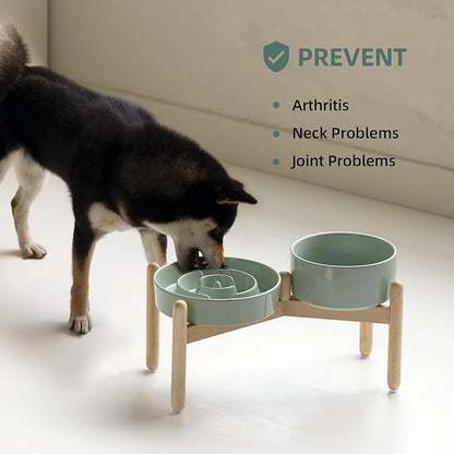 Ceramic Raised Slow Feeder Dog Bowl Set, Elevated 7.3inch Bowl and 8.2inch Puzzle Slow Dish with Wooden Stand for Medium and Large Dog, Anti-Gulping (2X Light Green+ Stand)