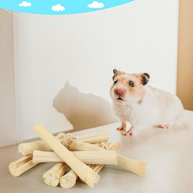 matafat 800g/1.76lb Bunny Toys Sweet Bamboo Sticks for Rabbits Bunny Chew Toys Molar Treats Snack for Small Animals Hamsters Chinchillas Guinea Pigs