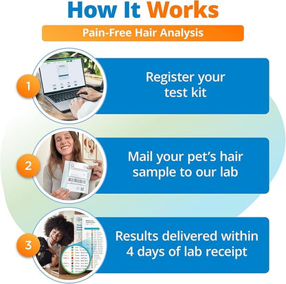 5Strands Pet Raw Food Intolerance Test, at Home Sensitivity Test for Dogs & Cats, 410 Items, Hair Analysis, Accurate for All Ages & Breeds, Pet Gut Health, Fast 4 Day Results