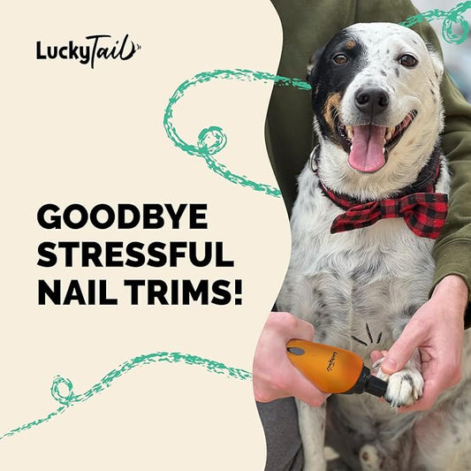 LUCKY TAIL Pet Nail Grinder for Dogs and Cats - Super Quiet and Low Vibration Electric Dog Nail Grinder with 2 LED Lights - USB Rechargeable and Cordless - 2 Speeds - Small to Large Pets - Orange