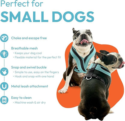 Gooby Comfort X One Dog Harness - Head-in Dog Harness for Small & Medium Sized Dogs - Escape-Free & Choke Free - Breathable Mesh, Shock Absorbing, Easy Snap & Swivel Buckles - Miami Yellow, 2X-Small
