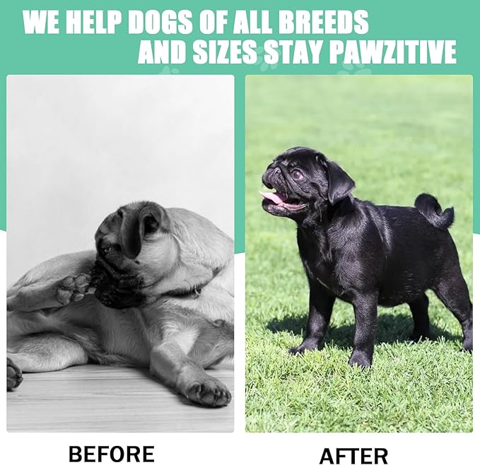 Dog Allergy Chews 200PCS Anti Itch Immune Treats Omega 3 Fish Oil Skin & Coat Supplement Dog Itching Relief with Probiotics Colostrum for Dry Skin Itching Licking Seasonal Allergies and Immune Support