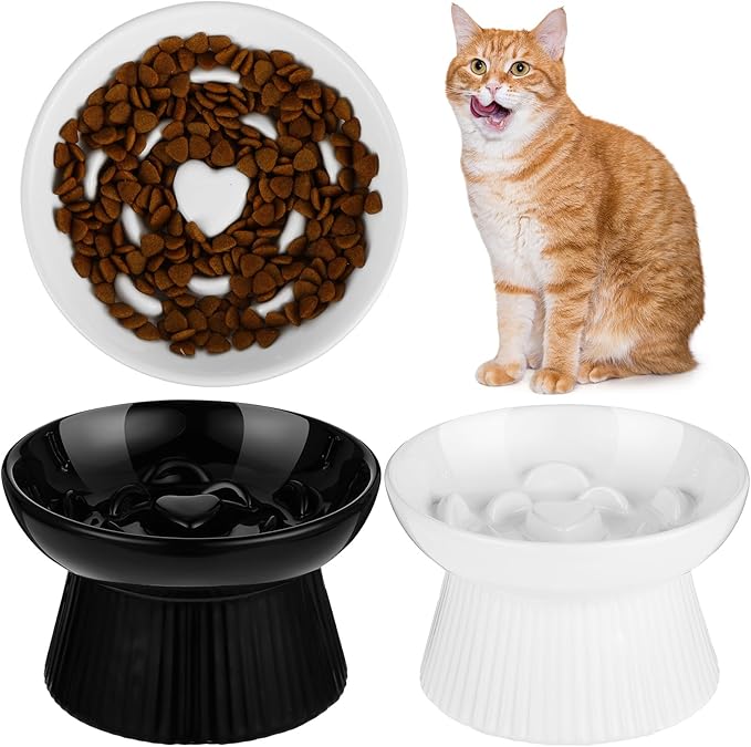 Tioncy 2 Pcs Raised Cat Slow Feeder Bowl Ceramic Elevated Cat Dog Food Bowl No Spill High Edge for Dry Wet Food and Water Easy to Clean, Dishwasher Safe(Black, White)