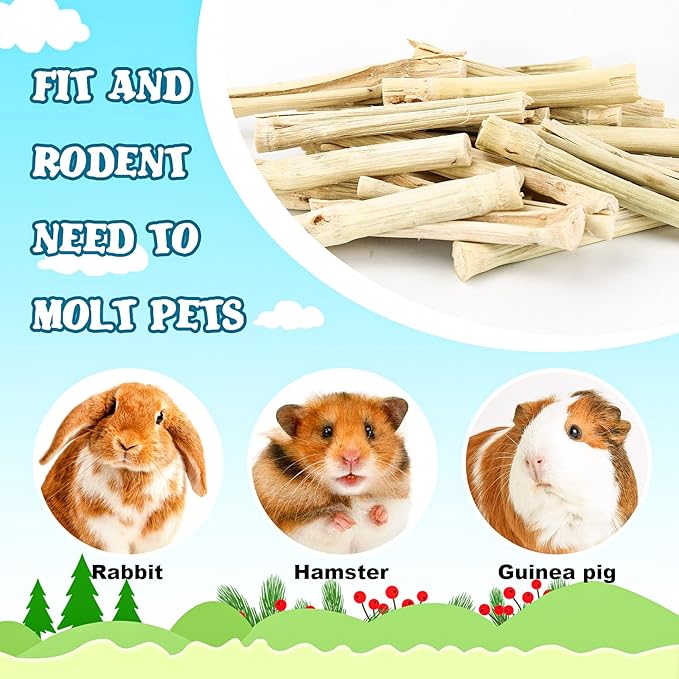 matafat 800g/1.76lb Bunny Toys Sweet Bamboo Sticks for Rabbits Bunny Chew Toys Molar Treats Snack for Small Animals Hamsters Chinchillas Guinea Pigs