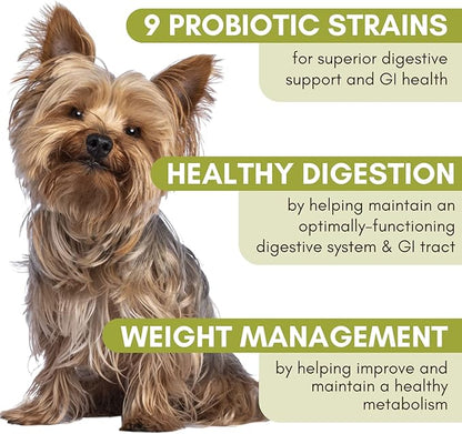 Wholistic Pet Organics WholeBiotics - Daily Dog Probiotics for Digestive Health Support & Immune Boost - 9 Strains - Prebiotics & Probiotics for Dogs & Cats - Gut Health for Dogs - 1 Oz - 28 Scoops