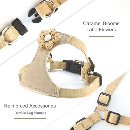 Dog Harness with Leash and Flower, Cute Breathable Puppy Harness Easy for Walking, No Pull No Choke Escape Proof Pet Harness, Brown M