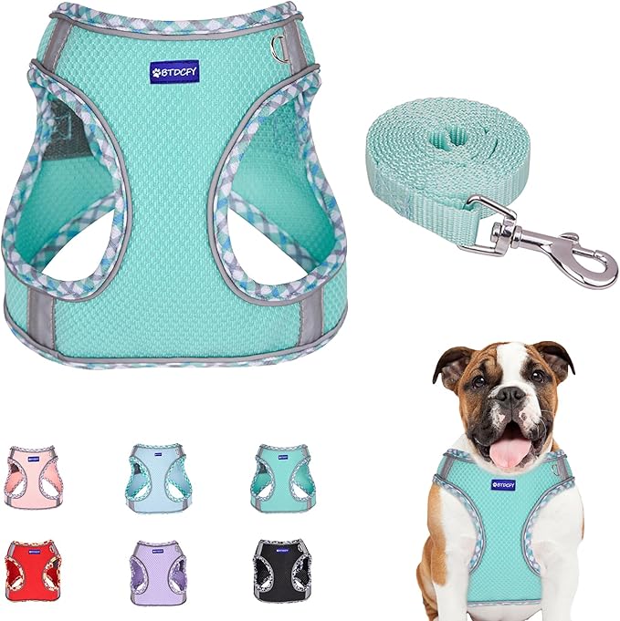 Step in Mesh Dog Harness and Leash Set - Breathable Air Mesh Reflective Escape Proof Vest - No Choke, Lightweight - Green
