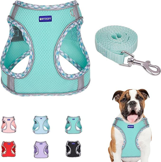 Step in Mesh Dog Harness and Leash Set - Breathable Air Mesh Reflective Escape Proof Vest - No Choke, Lightweight - Green