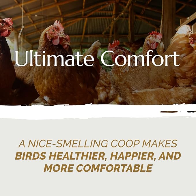 AubiChick High Grade French Hemp Bedding, 44lb (400L) Jumbo Bulk Bag for Chickens, Ultra Absorbent, Designed for Chicken Coop Bedding and Comfort of Birds, Poultry, Hairless Pets, Easy Manure Removal