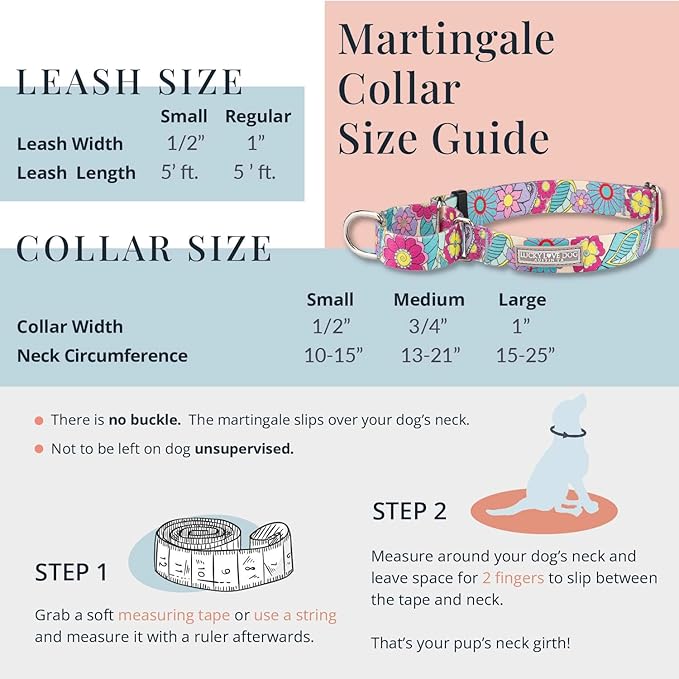 Lucky Love Dog Martingale Collar, Premium Fun Girl No Slip Collars, Strawberry Martingale Small Dog Collar, Great for Whippets, Greyhounds, and More (Sweet Berry, Small)