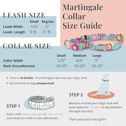 Lucky Love Dog Martingale Collar, Premium Fun Girl No Slip Collars, Strawberry Martingale Small Dog Collar, Great for Whippets, Greyhounds, and More (Sweet Berry, Small)