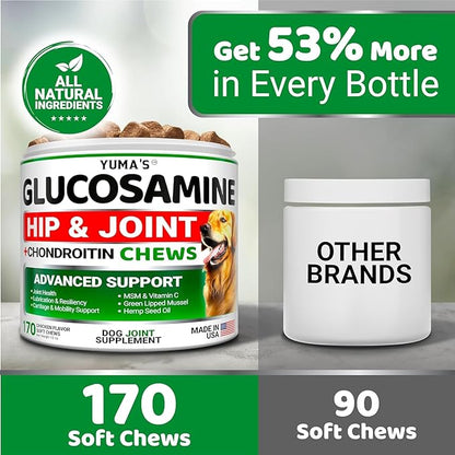 (2 Pack) Glucosamine for Dogs - Hip and Joint Supplement for Dogs - Glucosamine Chondroitin Chews - Joint Pain Relief Supplement with MSM - Advanced Health - Mobility Support - Made in USA