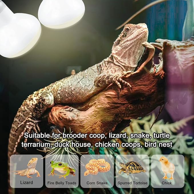 MISDOOD Reptile Heat Lamp 75W, 2 Pack Daylight UVA Basking Light Bulbs with E26 Base for Lizards, Turtles, Snakes and Amphibians