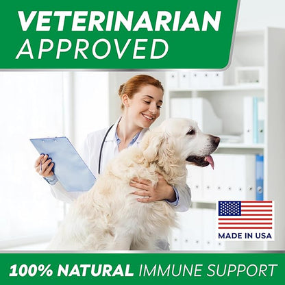 StrellaLab Dog Allergy Relief & Anti Itch Support Chews w/Omega 3: Real Ingredients, Real Taste! Skin & Coat Immune Supplement w/Fish Oil, Pumpkin & Enzymes — Developed by Experts - Made in USA -240Ct