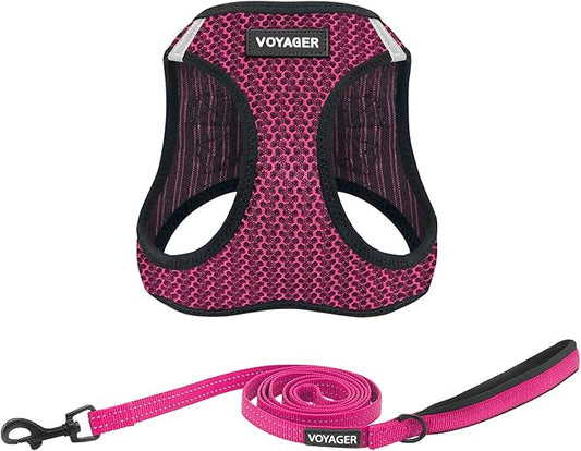 Voyager Step-in Air All Weather Mesh Harness and Reflective Dog 5 ft Leash Combo with Neoprene Handle, for Small, Medium and Large Breed Puppies by Best Pet Supplies - Fuchsia (2-Tone), XL