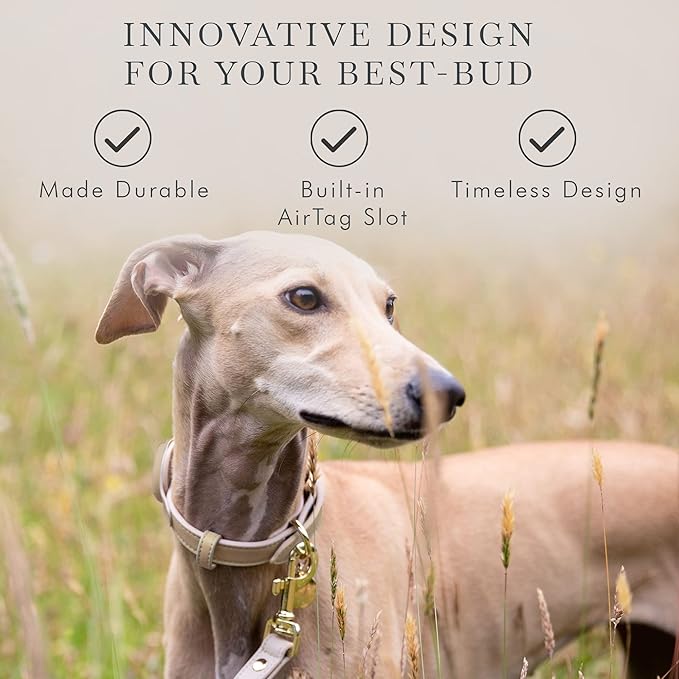 NINA WOOF Cupertino Dog Collars, Harnesses & Leashes Made from Vegan Leather with Dog Tracker Device Holder Adjustable Dog Collar (Small, Beige)