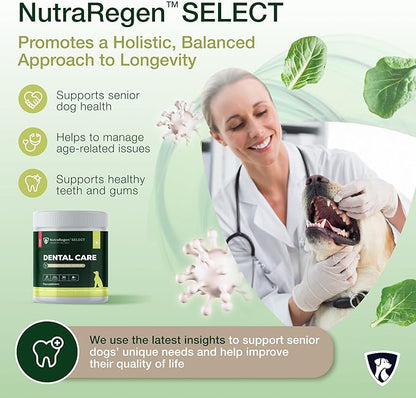 Select Senior Dog Dental Powder 30 Servings | Beef Flavored Dog Breath Freshener for Oral & Gum Health | Pet Dental Powder Helps Manage Plaque & Tartar Buildup and Chewing Issues | 4.6 Oz