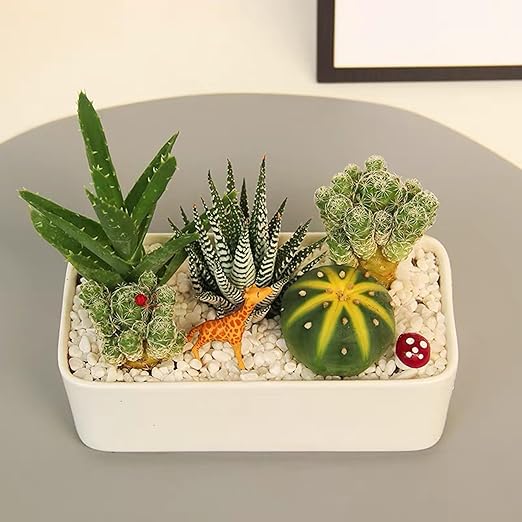 1LB Natural Gravel Pebbles, Cactus and Succulent Plants Pebbles, Small Decorative Polished Stones, White River Rocks for Potted Plants, Vases, Aquariums, Terrarium and Outdoor Gardening