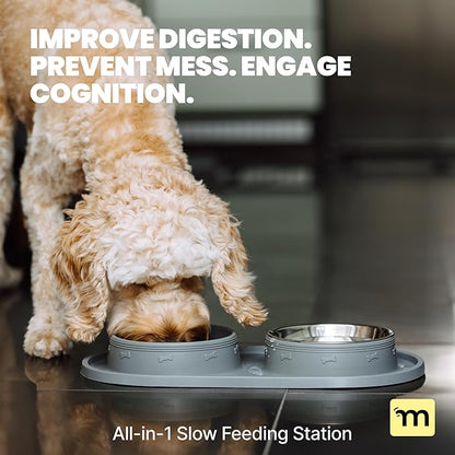 MalsiPree Cat & Dog Slow Feeder Bowl – Improve Digestion – Stainless Steel Water Bowl & Anti-Spill Silicone Mat – for Small & Medium Breeds – 15 oz - Puppy Slow Feeder