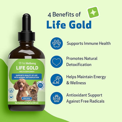 Pet Wellbeing Life Gold for Dogs - Supports Detoxification, Immune System Health, Antioxidants - Vet-Formulated Herbal Supplement – 4 oz (118 ml)