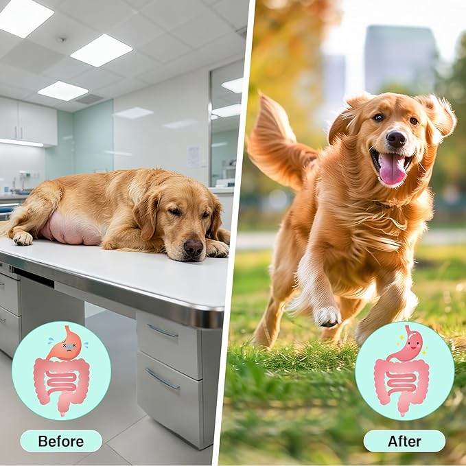 Dog Probiotics and Multivitamin Chews for Gut, Skin and Coat Health, Immune Support Supplement for All Dogs, Pork Flavor Soft Chews, 120 Count, Idea