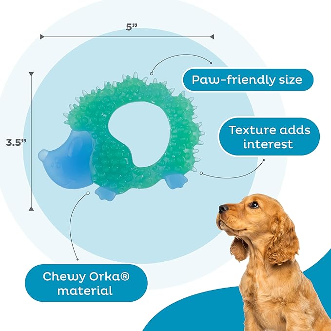 Outward Hound Cutie Chewies Hedgehog Dental Dog Chew Toy, Blue