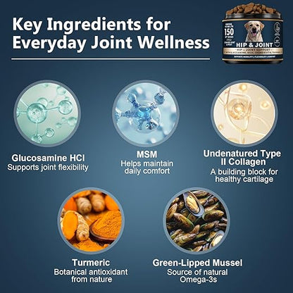 Glucosamine for Dogs - 150 Soft Chews, Hip & Joint Supplement with MSM, Chondroitin, Turmeric – Joint Support for Dogs Chicken Flavor – Vet Formulated – 2-Month Supply