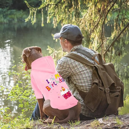 GreenJoy Dog Sweater Dog Hoodie Cold Weather Coat Hooded Sweatshirt for Puppies,Cats, Small Medium Large Dogs (Pink(It's My Birthday), XX-Large)