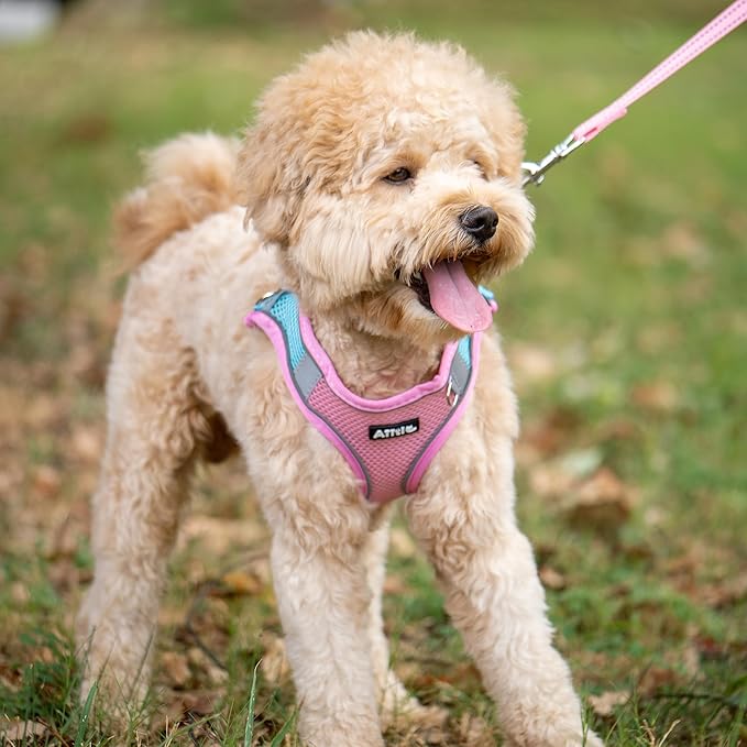 AIITLE Small Harness for Puppy with A Leash - Summer Dog Vest Harness with Super Breathable Mesh, Reflective No-Pull Pet Harness for Outdoor Walking, Camping for Small Dogs, Cats Pink XXS